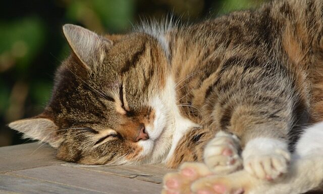 Jak odpoczywać po pracy siedzącej?