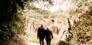 Czy mogę mieć dwie emerytury w Polsce i zagranica?