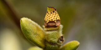 Co utrudnia rozwijanie kompetencji kluczowych?