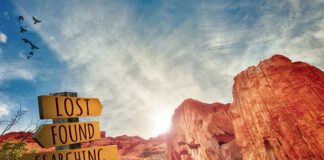 Dlaczego doskonalenie zawodowe jest tak ważne w pracy nauczyciela?