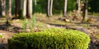 Jak zregenerować siły po pracy?