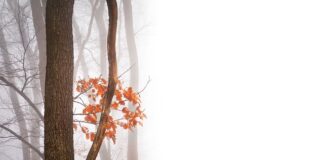 Jak zapobiegać negatywnym skutkom pracy siedzącej?