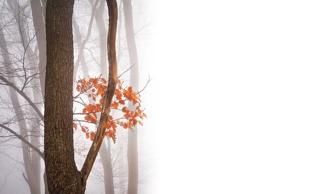 Jak zapobiegać negatywnym skutkom pracy siedzącej?