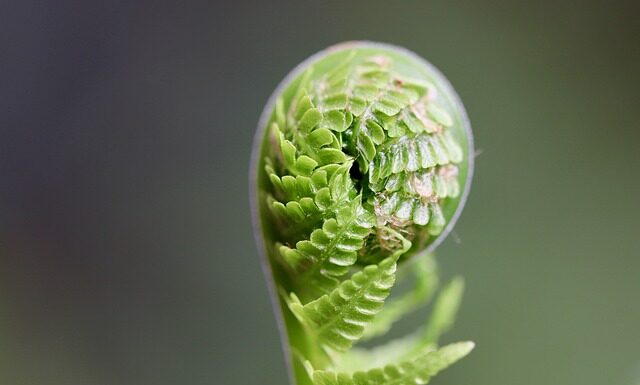 Dlaczego warto rozwijać swoje kompetencje?