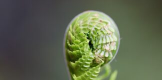 Jak rozwijać kompetencje społeczne uczniów?