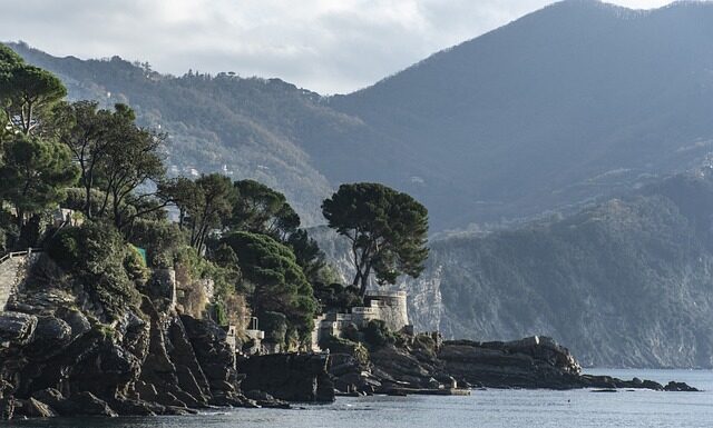 Ile kosztuje godzina pracy doradcy podatkowego?