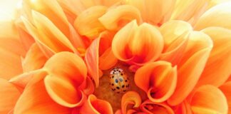 Jakie cardio jest najbardziej efektywne?