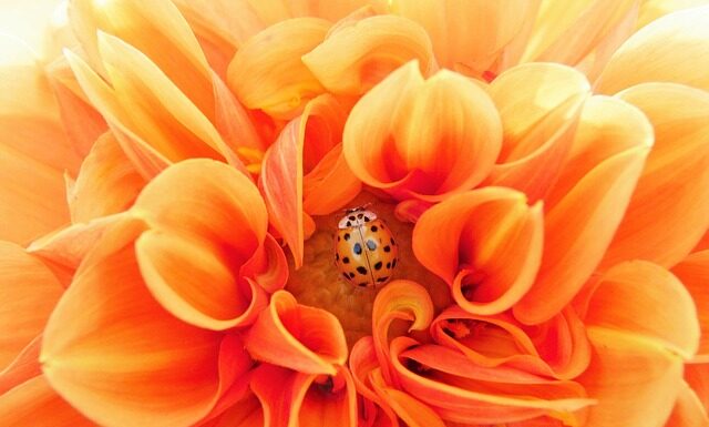 Jakie cardio jest najbardziej efektywne?