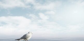 Jak uspokoić dzieci w przedszkolu?