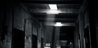 Jaki rodzaj przemysłu dominuje w Polsce?