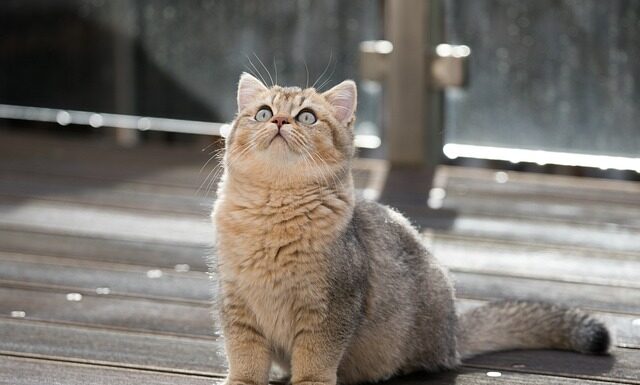 Co się zdarzyło w Baku?