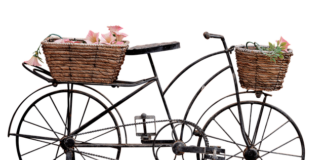 Czy png to plik wektorowy?