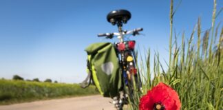 Co mogłoby zachęcić młodych ludzi do większej aktywności fizycznej?