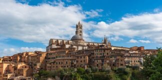 Jakie są sfery rozwoju?