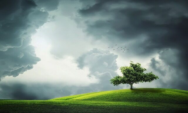 Co oznacza zielony ludzik w telefonie?