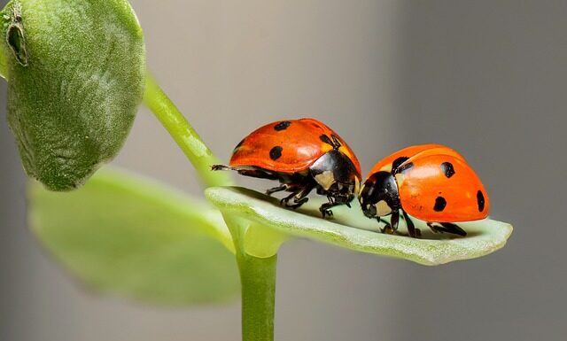 Jakie błędy popełniane są najczęściej podczas rozmowy kwalifikacyjnej?