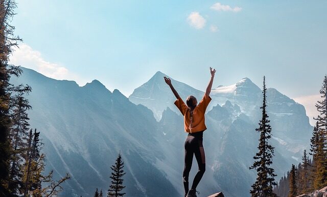 Co to jest program diagnostyczny?