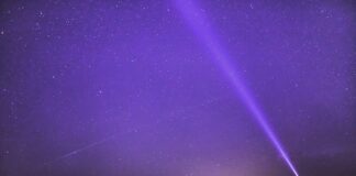 Jak przerobić zdjęcie na rysunek za darmo?