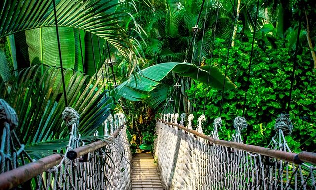 Jaki kurs na pomoc w przedszkolu? Jaki kurs na pomoc w przedszkolu?